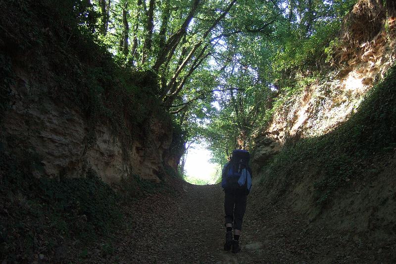 2011-05- (1347).JPG - Ein Hohlweg führt uns schließlich ins Licht